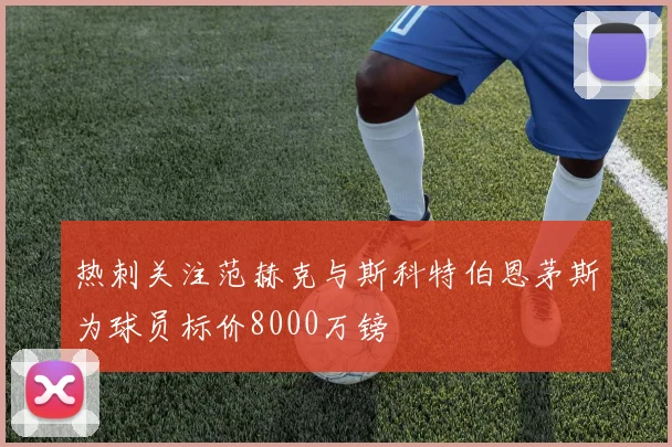 热刺关注范赫克与斯科特伯恩茅斯为球员标价8000万镑