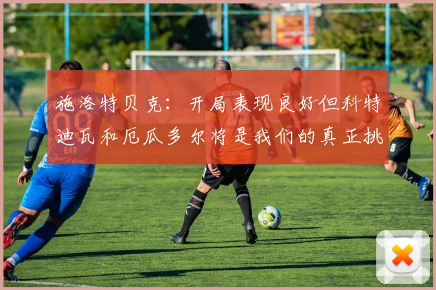 施洛特贝克：开局表现良好但科特迪瓦和厄瓜多尔将是我们的真正挑战